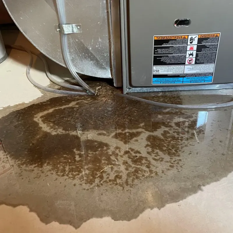 Pipe Burst and Leak Restoration in Manchester, KY