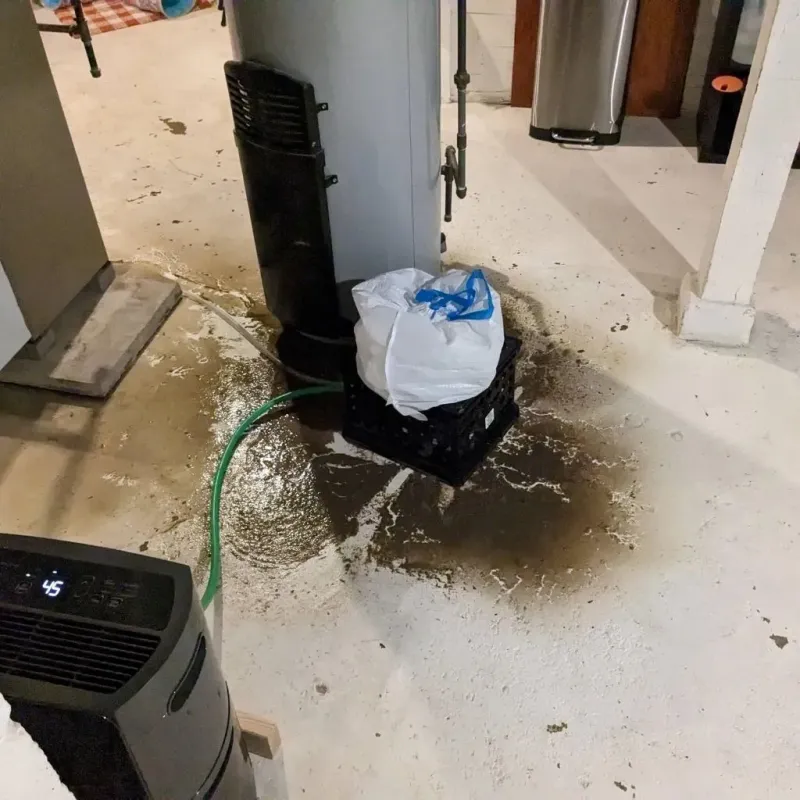 Sewage Backup Cleanup Service in Manchester, KY